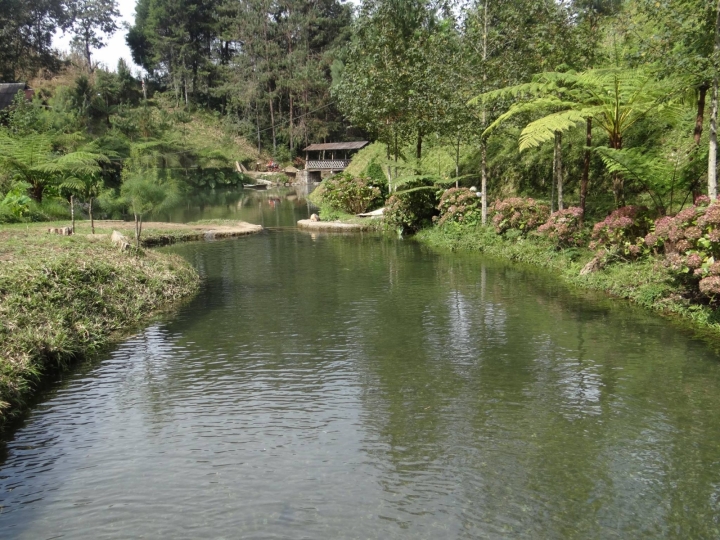 paraiso escondido.jpg paraiso escondido.jpg